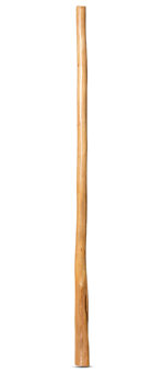 CrookedStixz Didgeridoo (AH337)